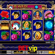 betvip Salvador - Bonus Stats